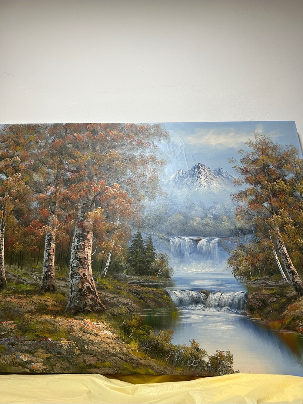 Birch Forest Waterfall Canvas Wall Art - Autumn Landscape